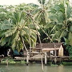 Life on the Backwaters - Home Jetty
