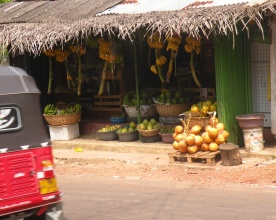 The fruit shop opposite my lane