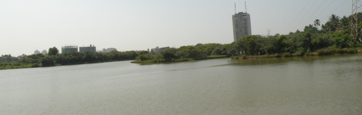 Newly expanded Diyawanna Lake - east of the narrows. That tall building is the building you can see in the distance from Madinnagoda Road - "From the One Way Bridge" (https://thewanderlustgene.wordpress.com/2013/02/11/from-the-one-way-bridge/)